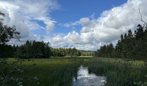 A 10 Day Itinerary Down Sweden’s Coast