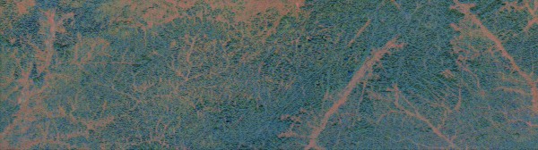 브라질, ESA의 바이오매스 데이터 활용 준비