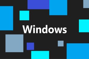 Microsoft는 온라인 계정없이 Windows 11을 사용할 수있는 더 많은 구멍을 막고 있습니다
