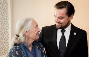 Leonardo DiCaprio, Billie Eilish and more pay tribute to Jane Goodall