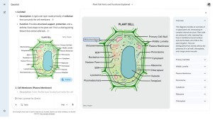Gemini의 대화형 이미지를 통해 더 깊은 이해를 키워보세요.