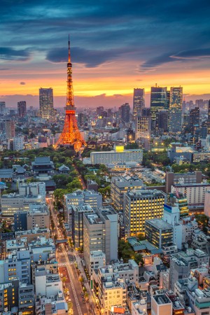23 Most Exciting Things to Do in Tokyo, Japan