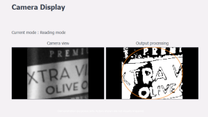 시력을 잃은 사람들이 십자말풀이를 할 수 있게 해주는 망막 임플란트