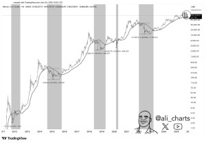 역사에 따르면 이 주요 지지가 유지되지 않으면 비트코인(BTC)이 60% 하락할 수 있습니다