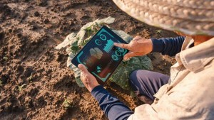 Applied chemistry at work — small science, big solutions